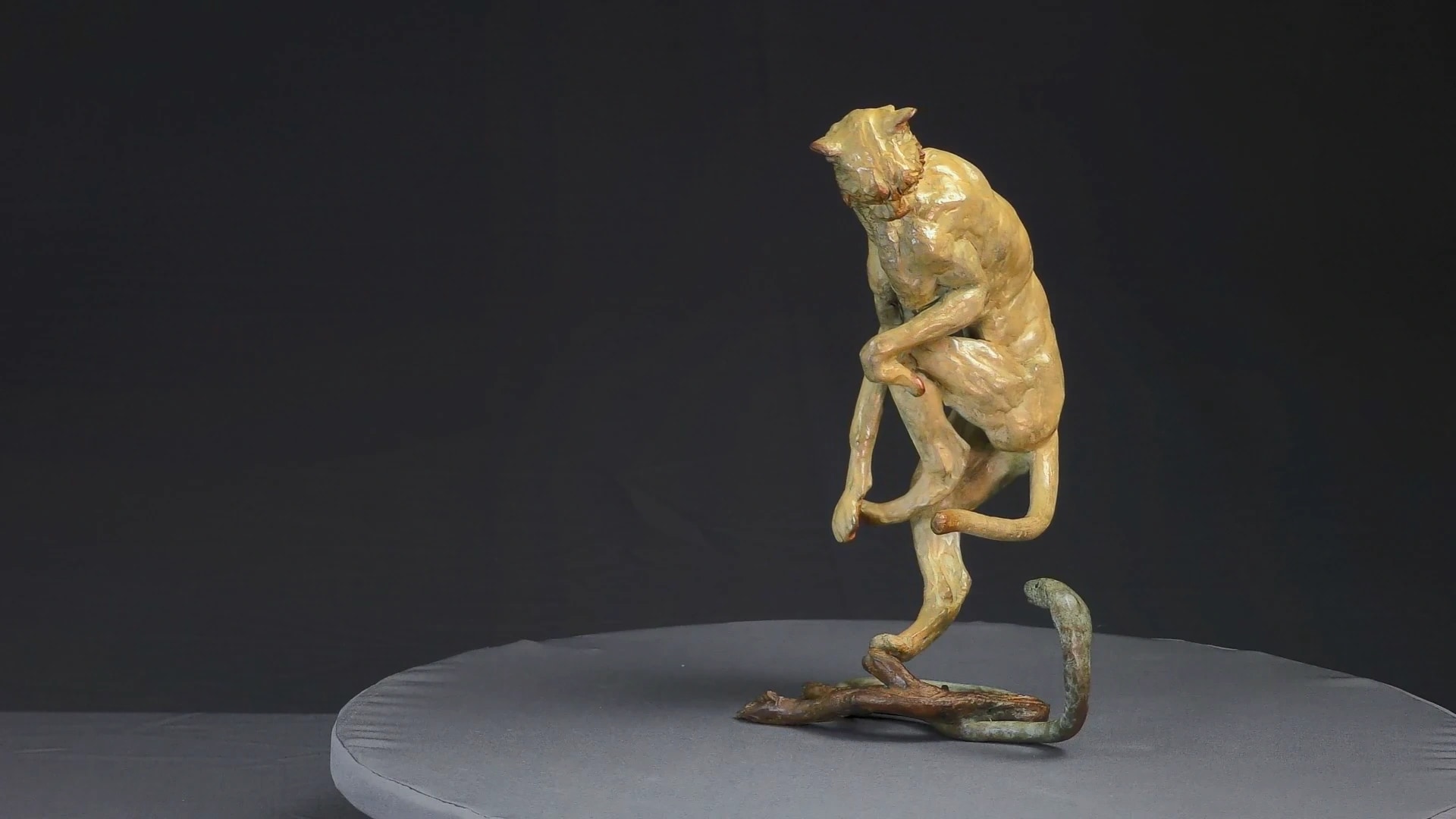 Guépard et cobra — vue 4