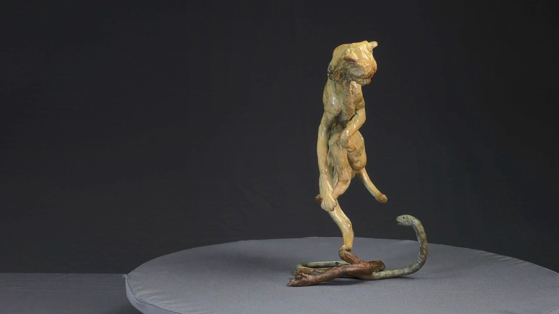 Guépard et cobra — vue 5