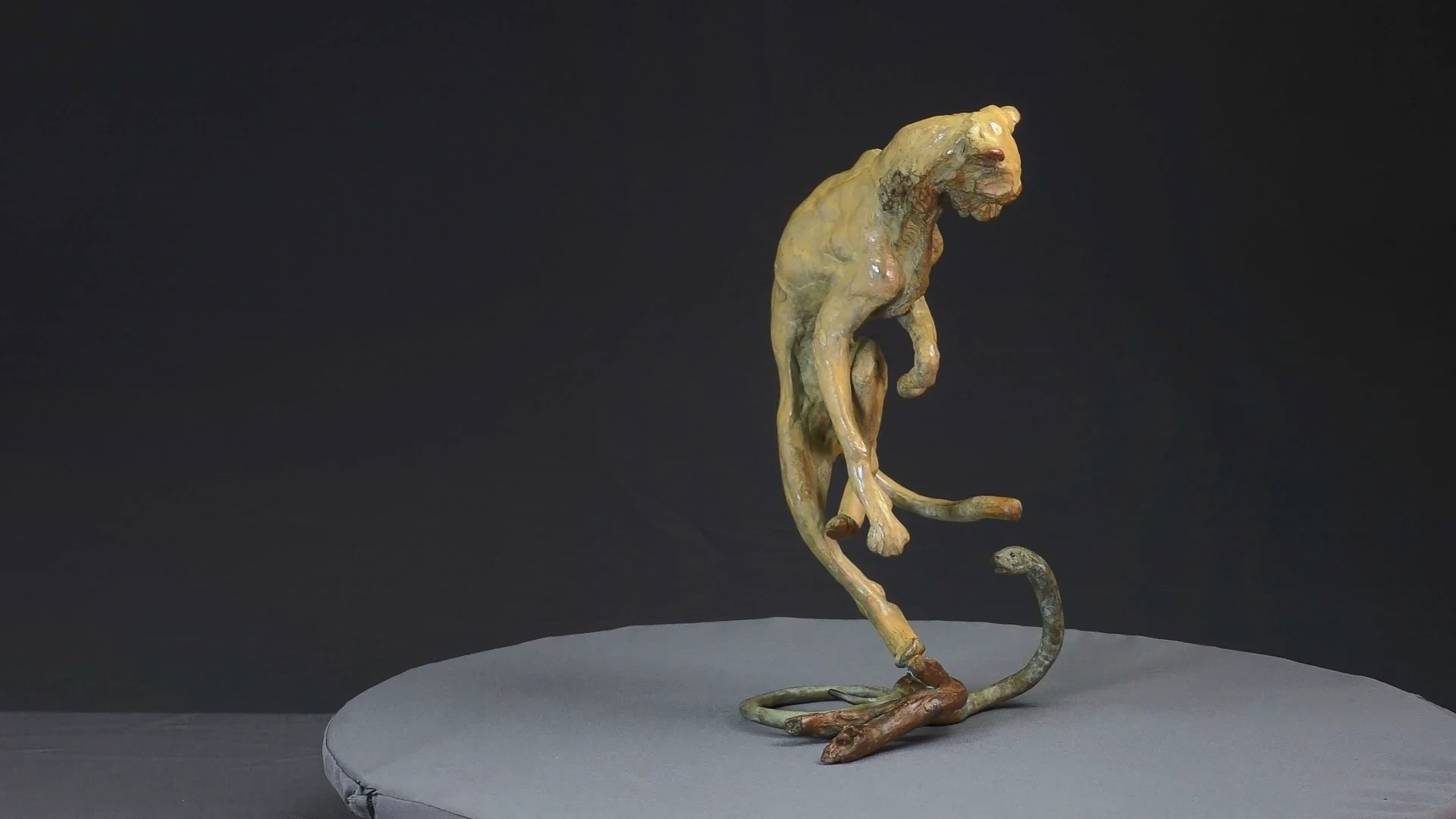 Guépard et cobra — vue 6