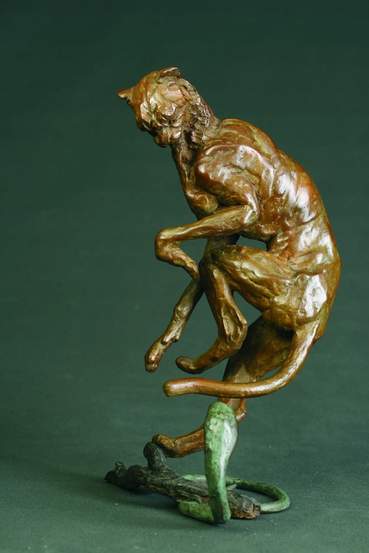 Guépard et cobra — vue 7