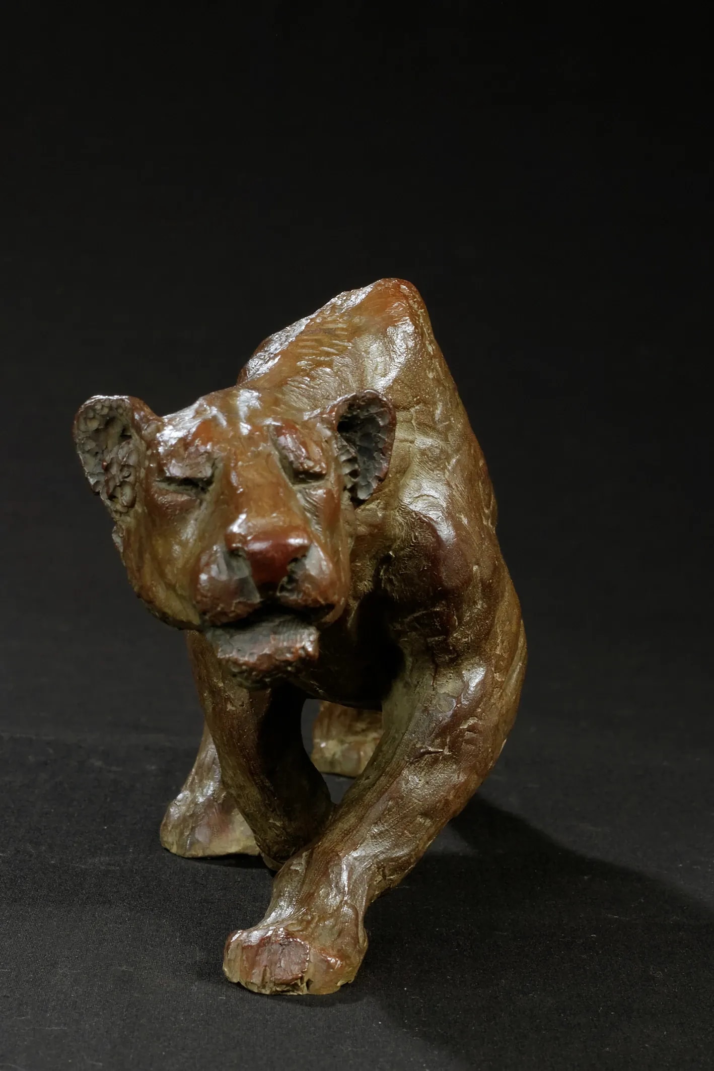 Lionne à l'affût — vue 4