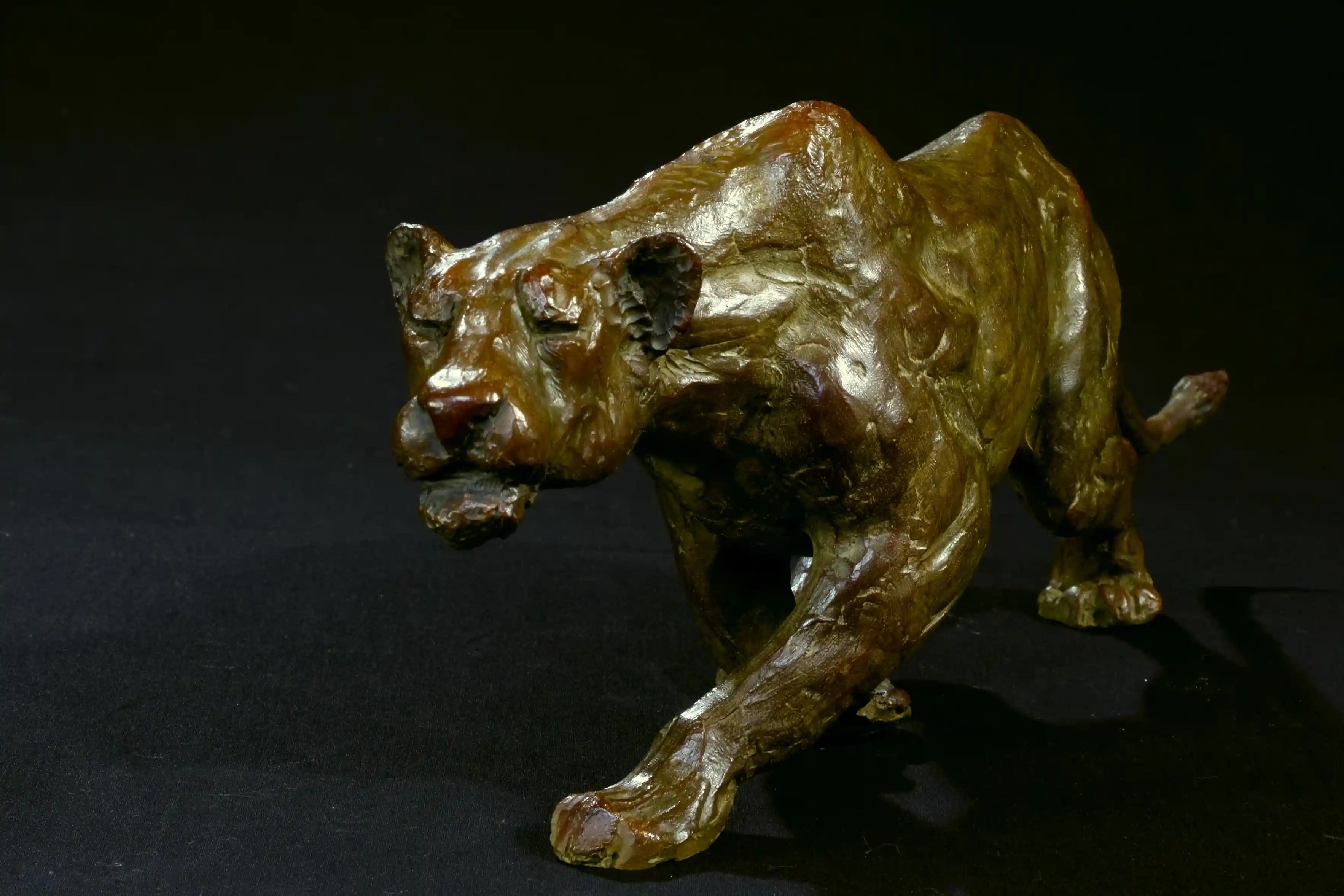 Lionne à l'affût — vue 5