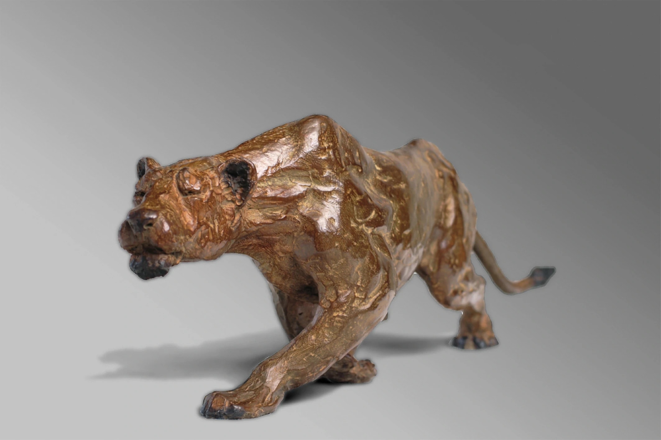 Lionne à l'affût — vue 6