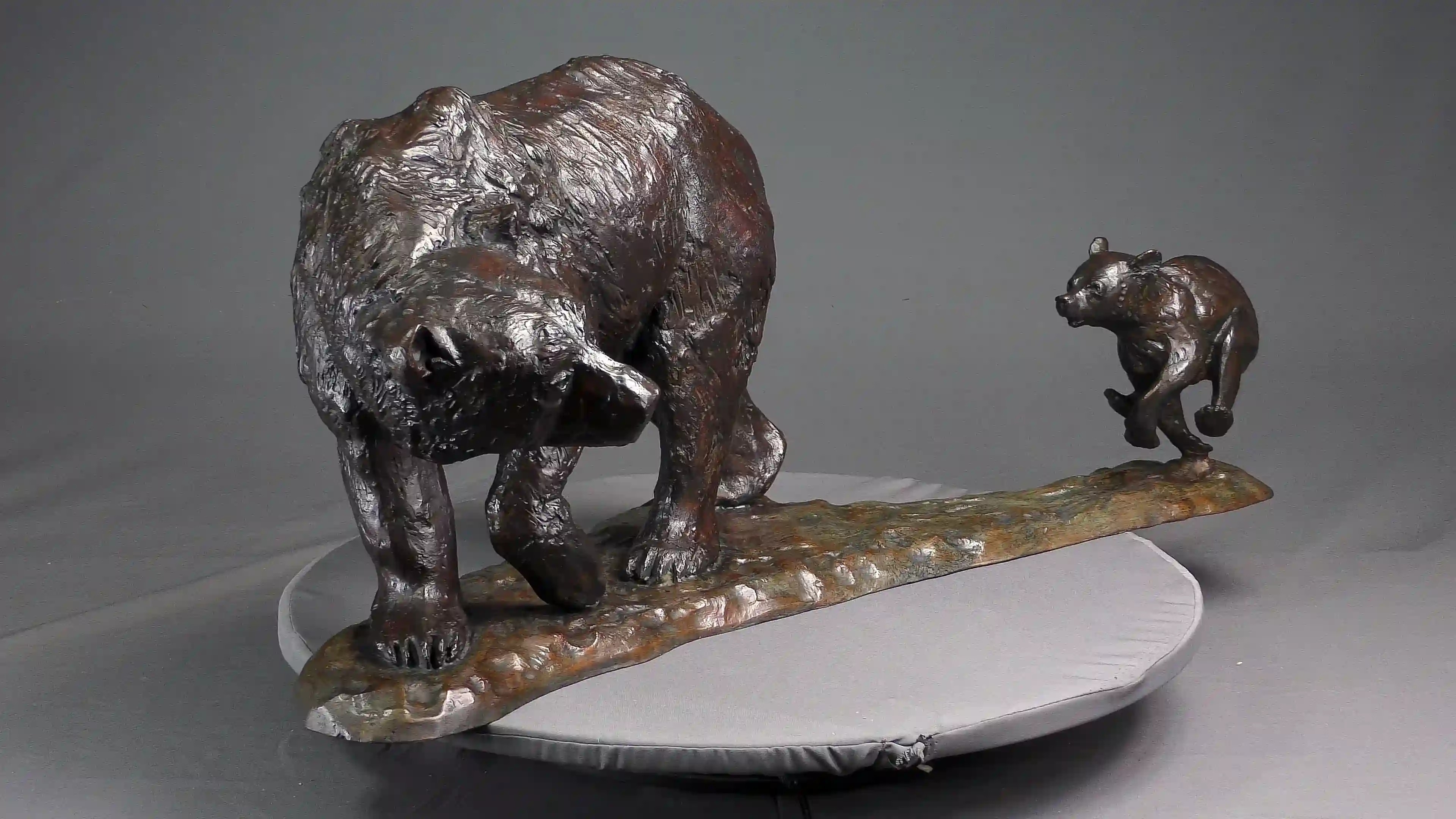 L'ours et son petit — vue 5