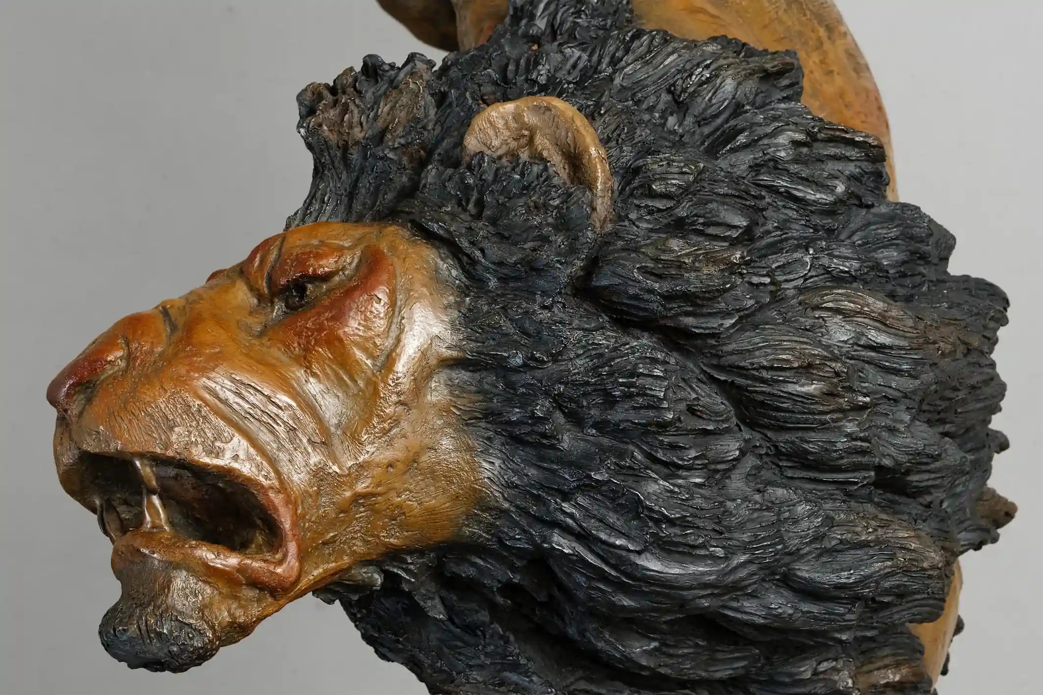 Offensive de lion — vue 4