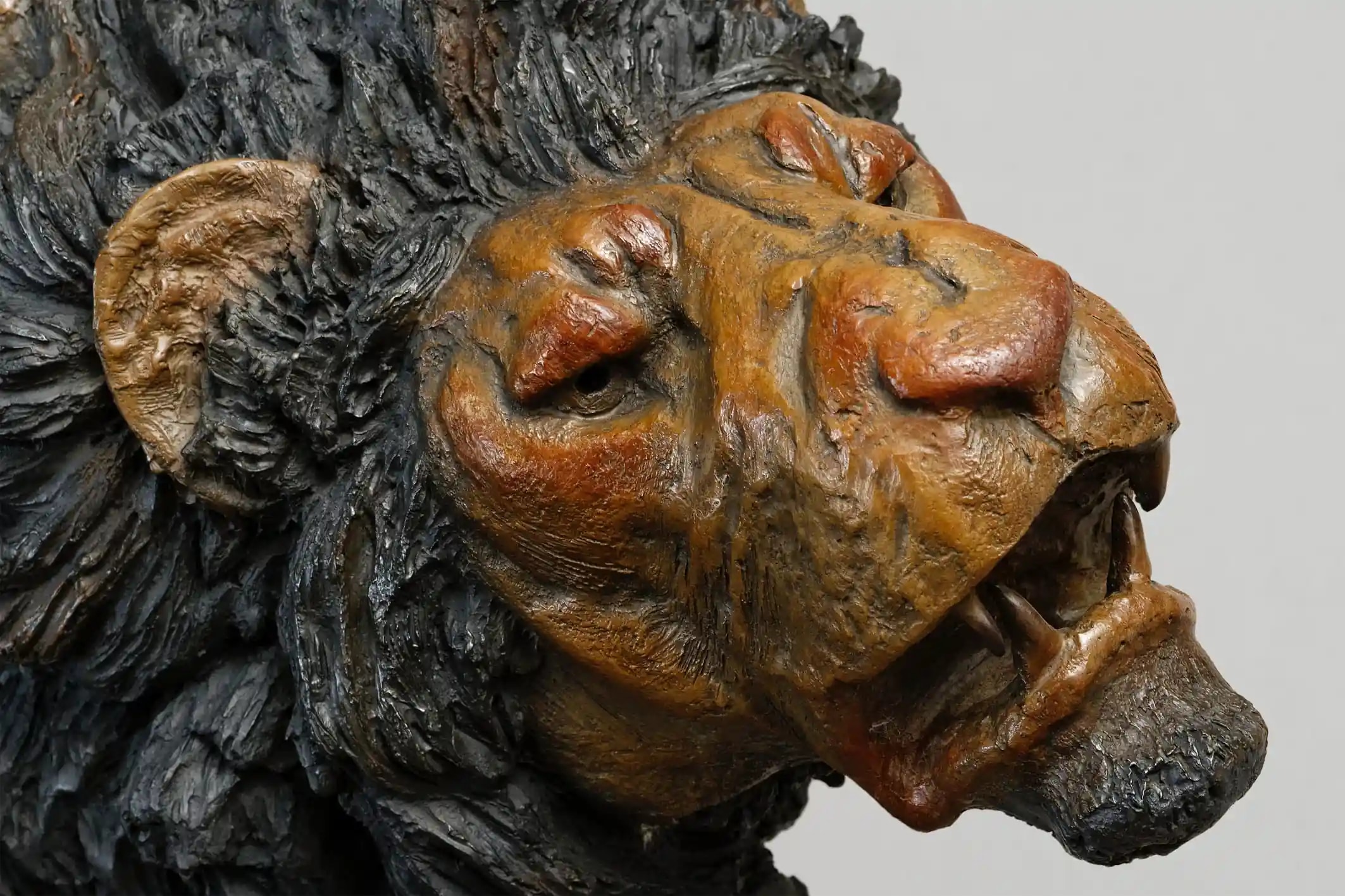 Offensive de lion — vue 5