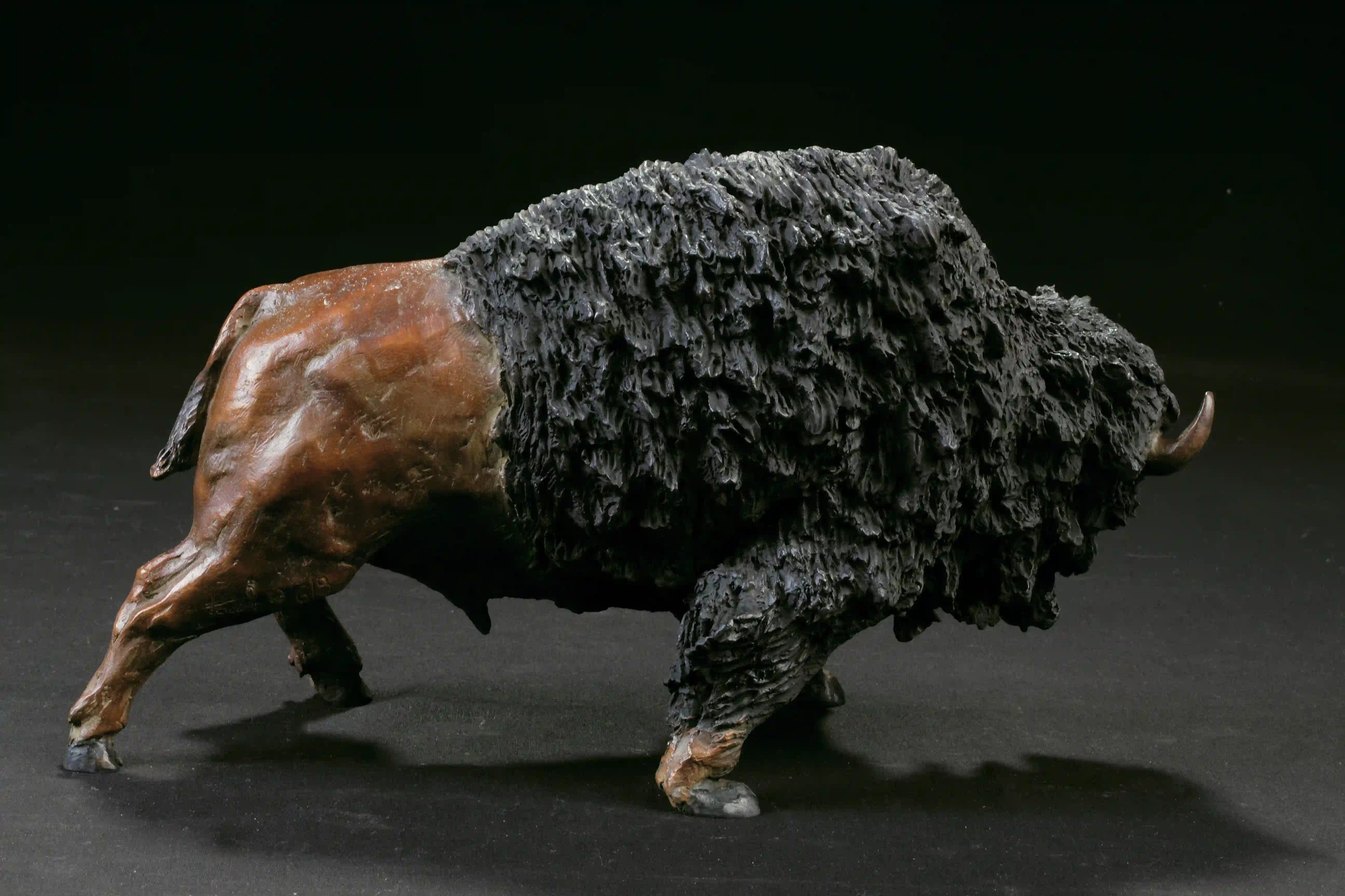 Tatanka — vue 12