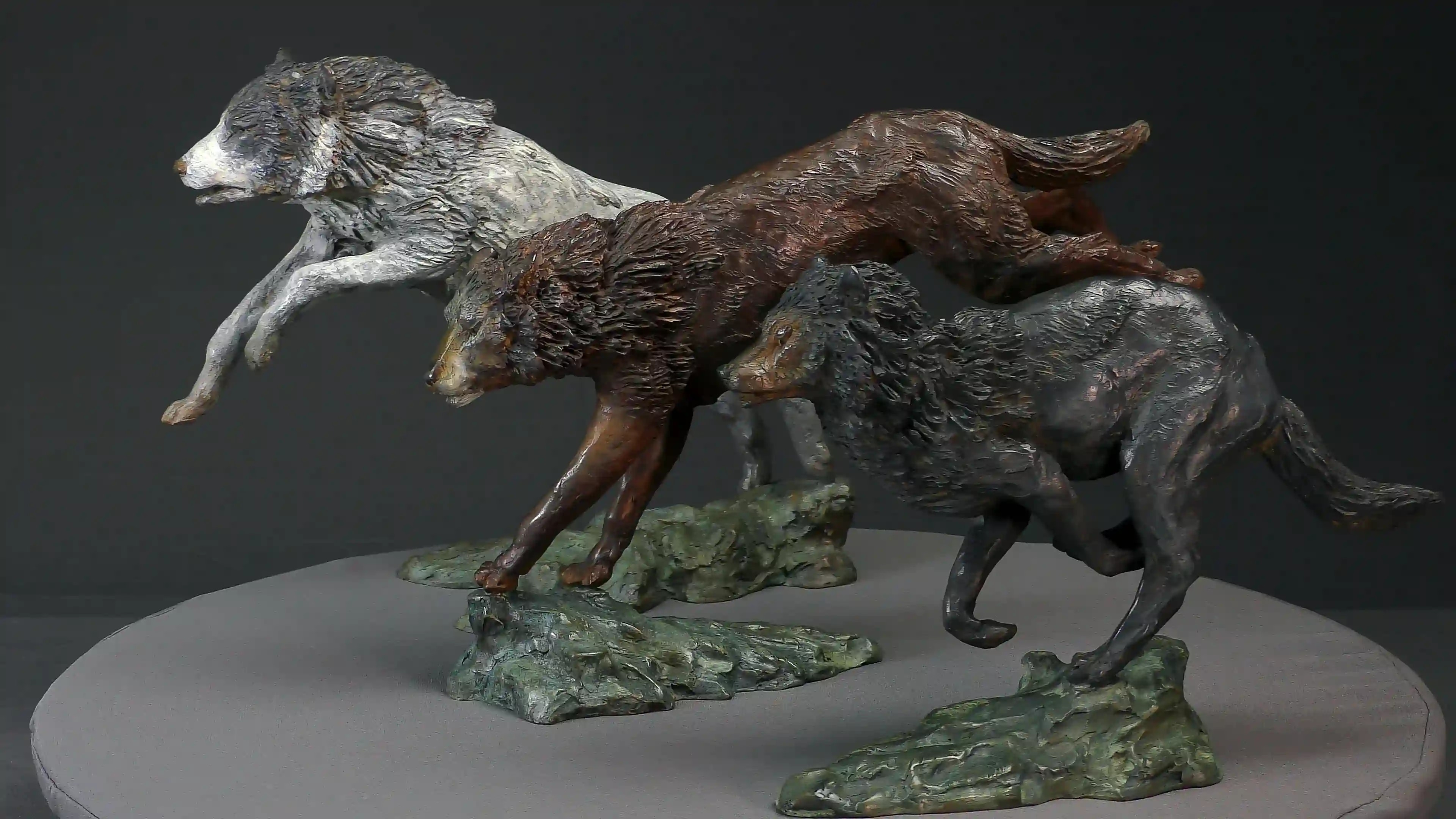 Trois loups en chasse — vue 4