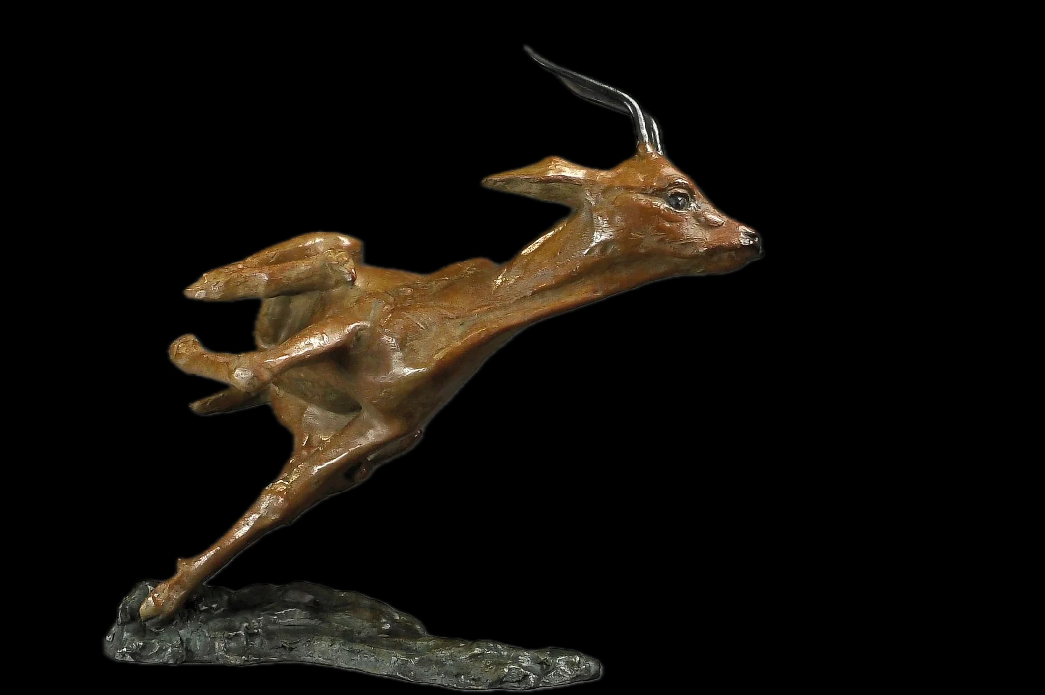 Affolement de gazelle