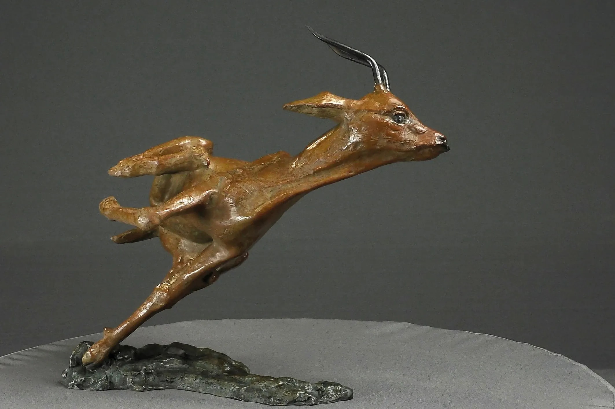 Affolement de gazelle — vue 3