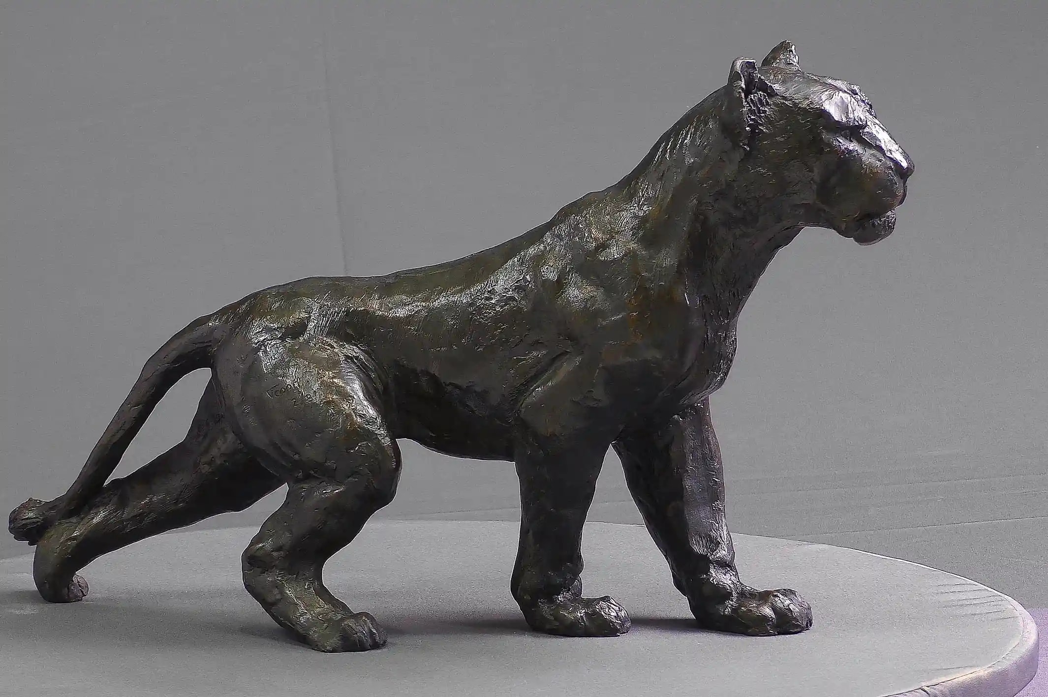 Shana — vue 1