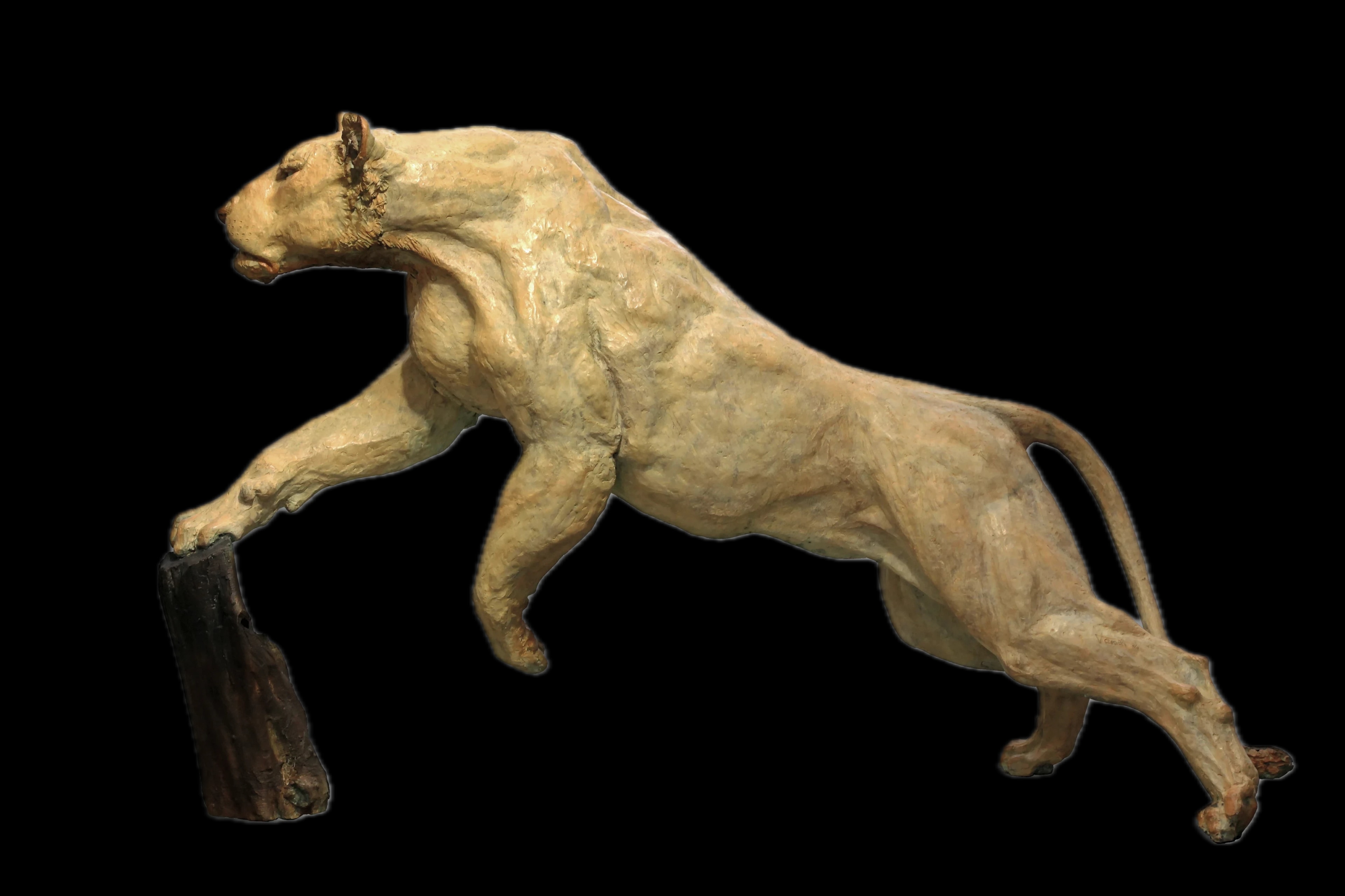 Reprise de la chasse