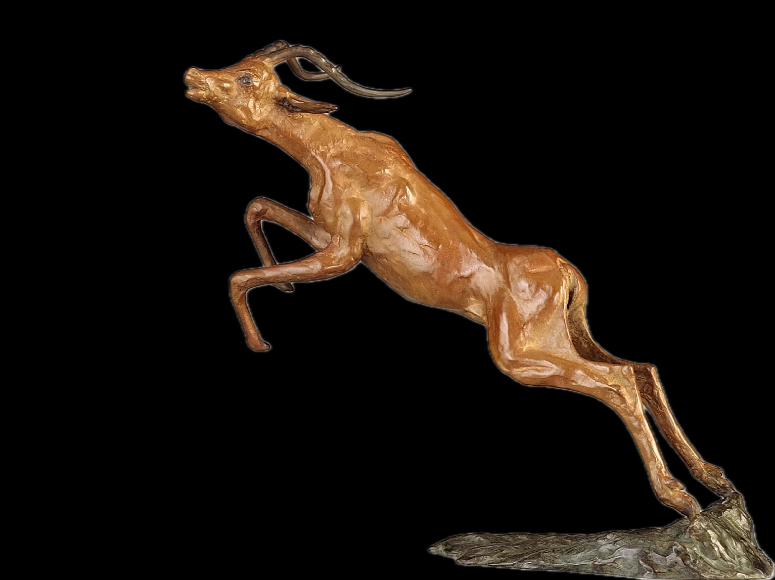 L'envol