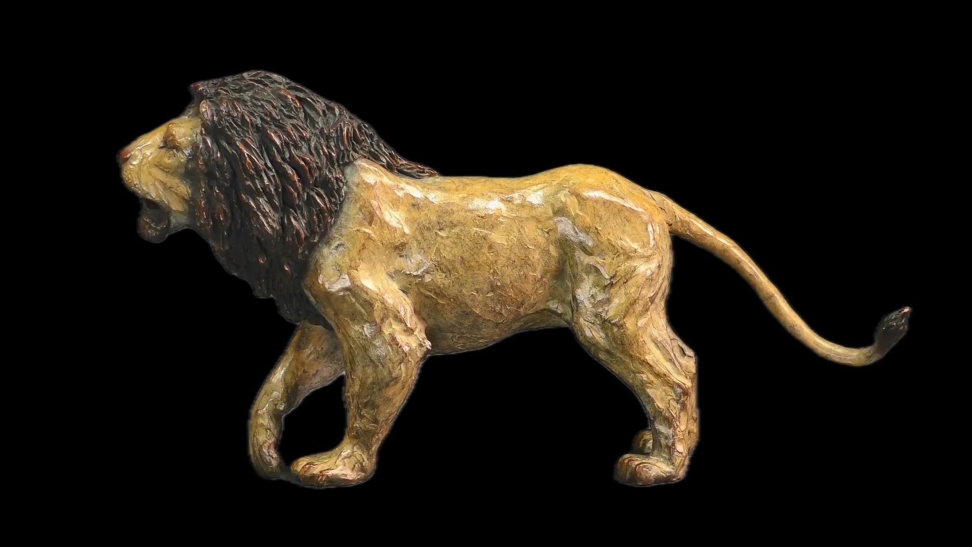 Lion agressif