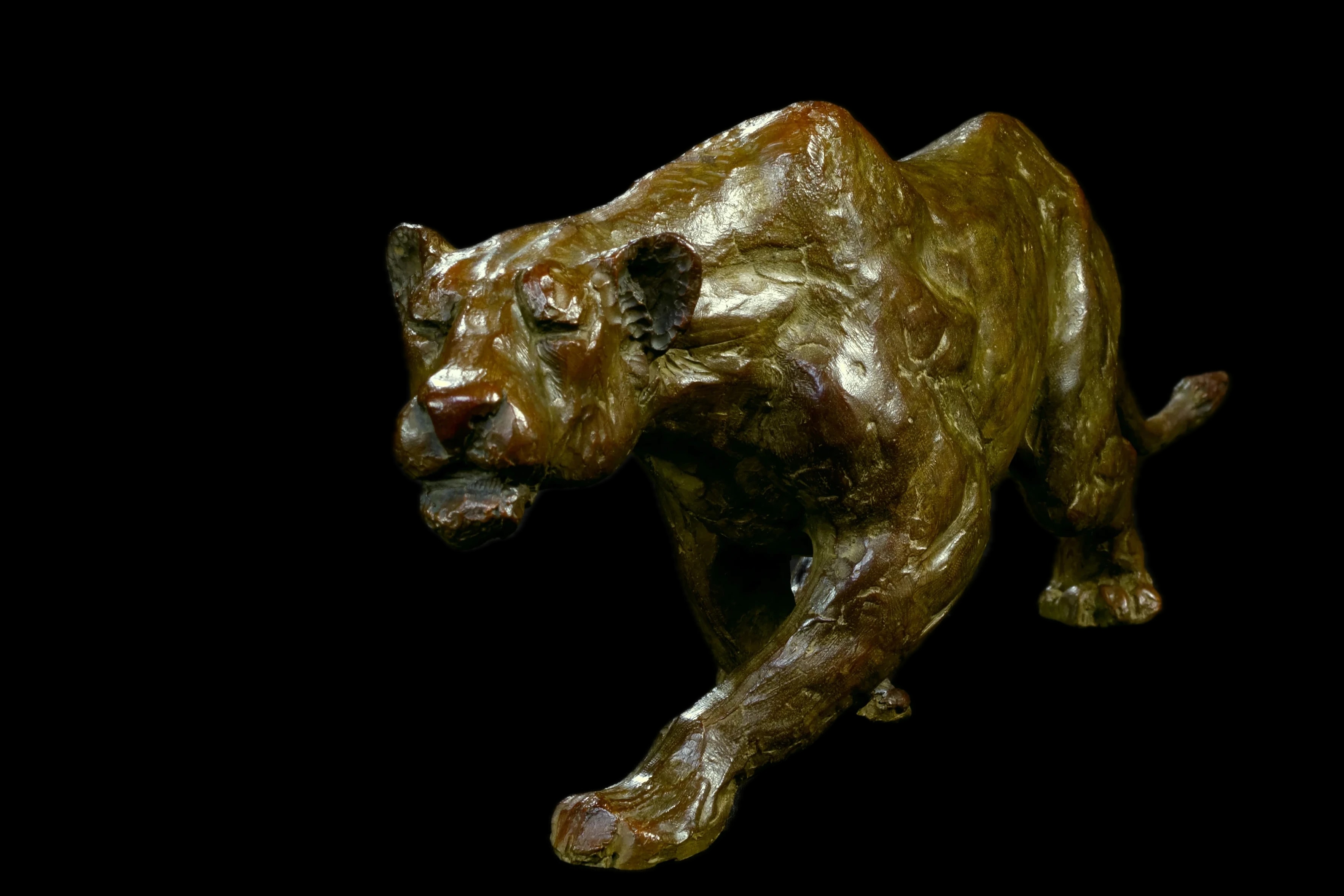 Lionne à l'affût