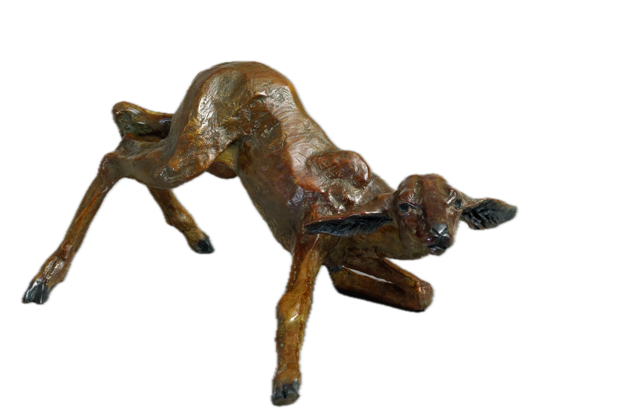 Naissance d'impala