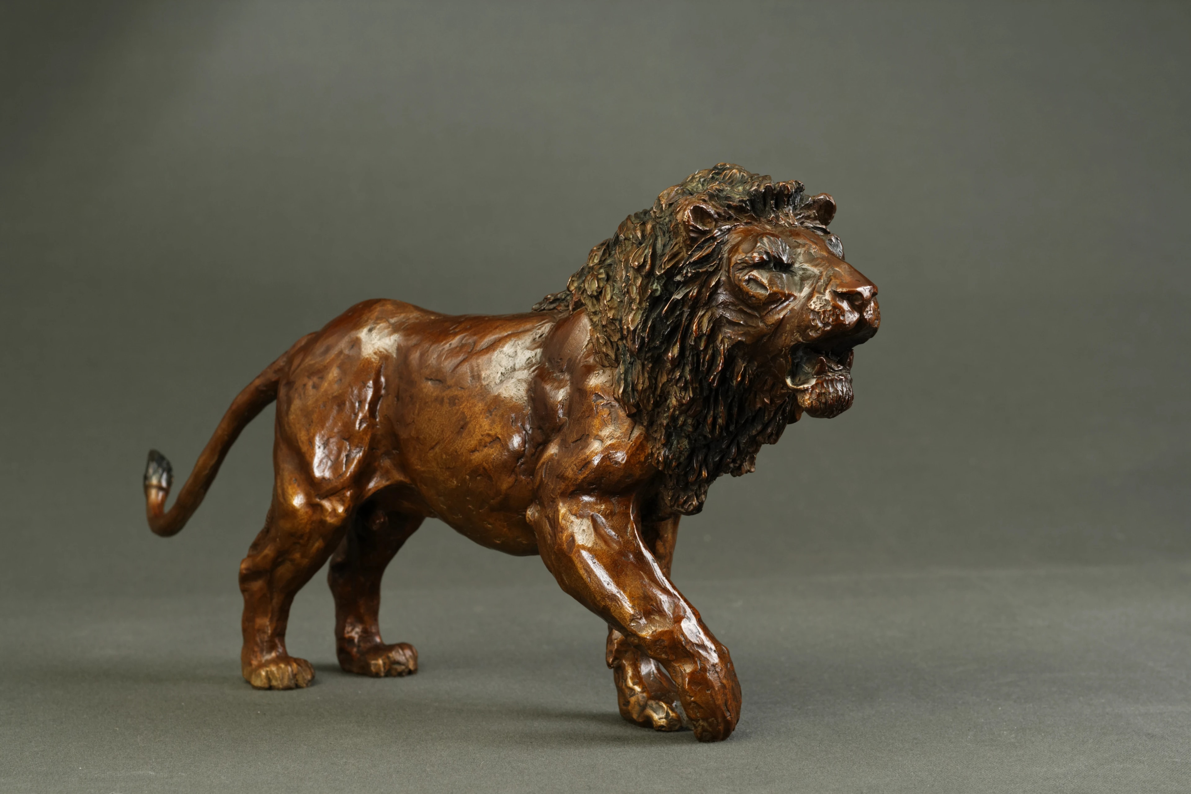 Lion agressif — vue 1