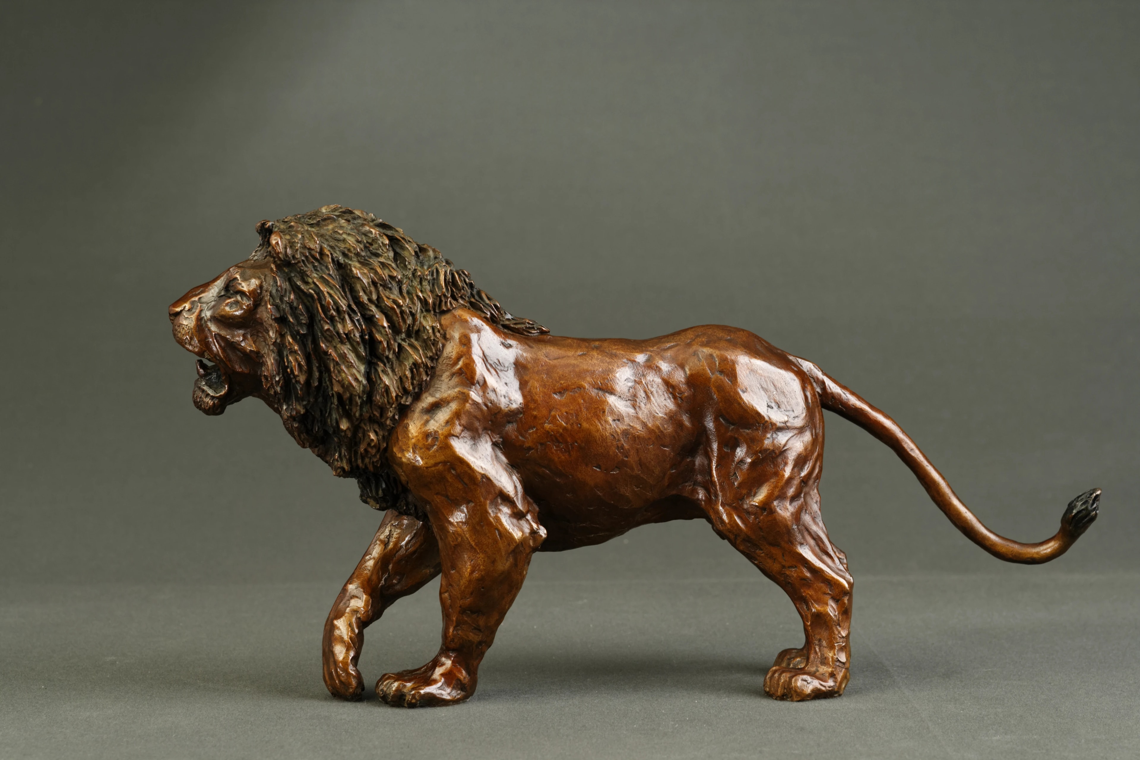 Lion agressif — vue 3
