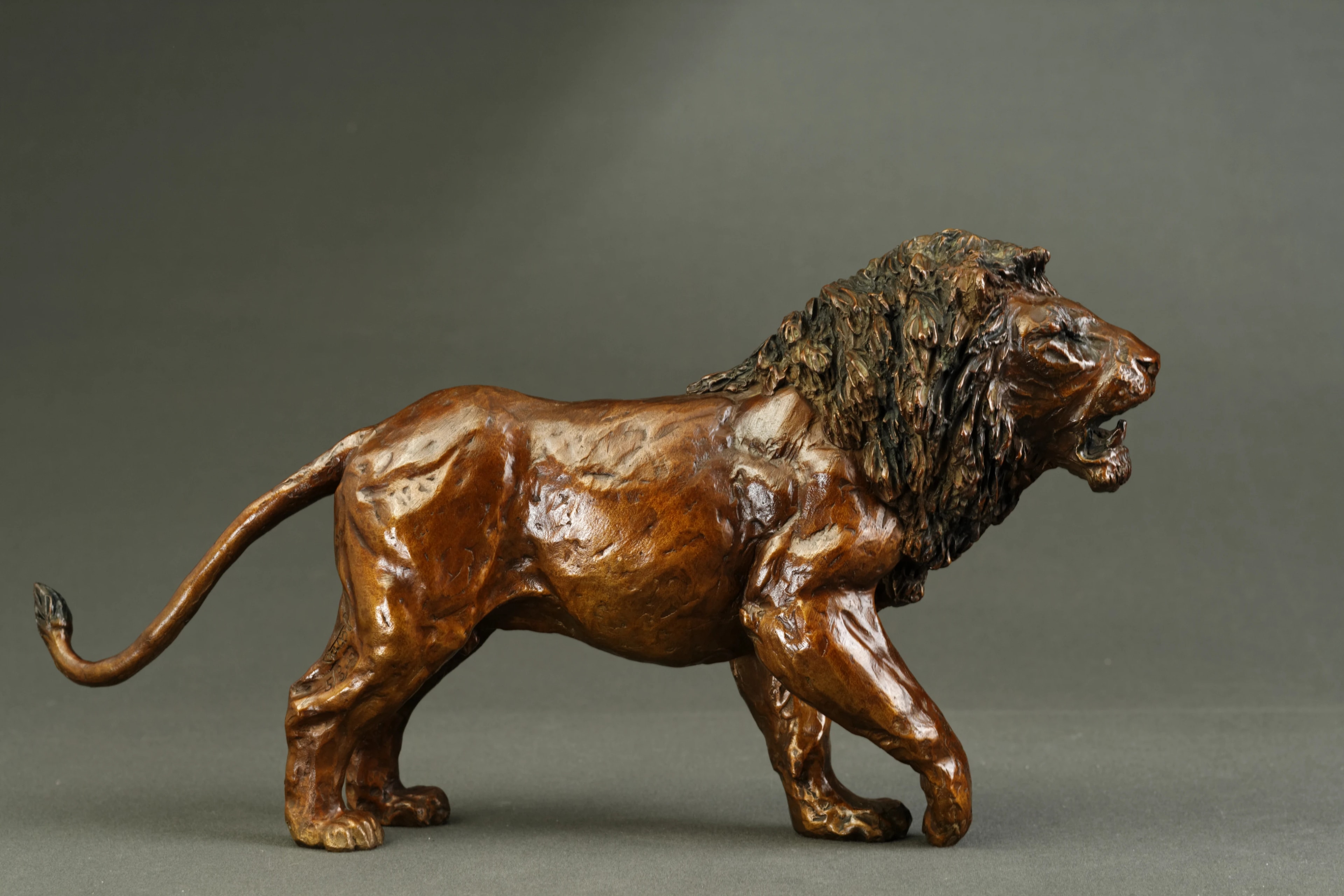 Lion agressif — vue 4
