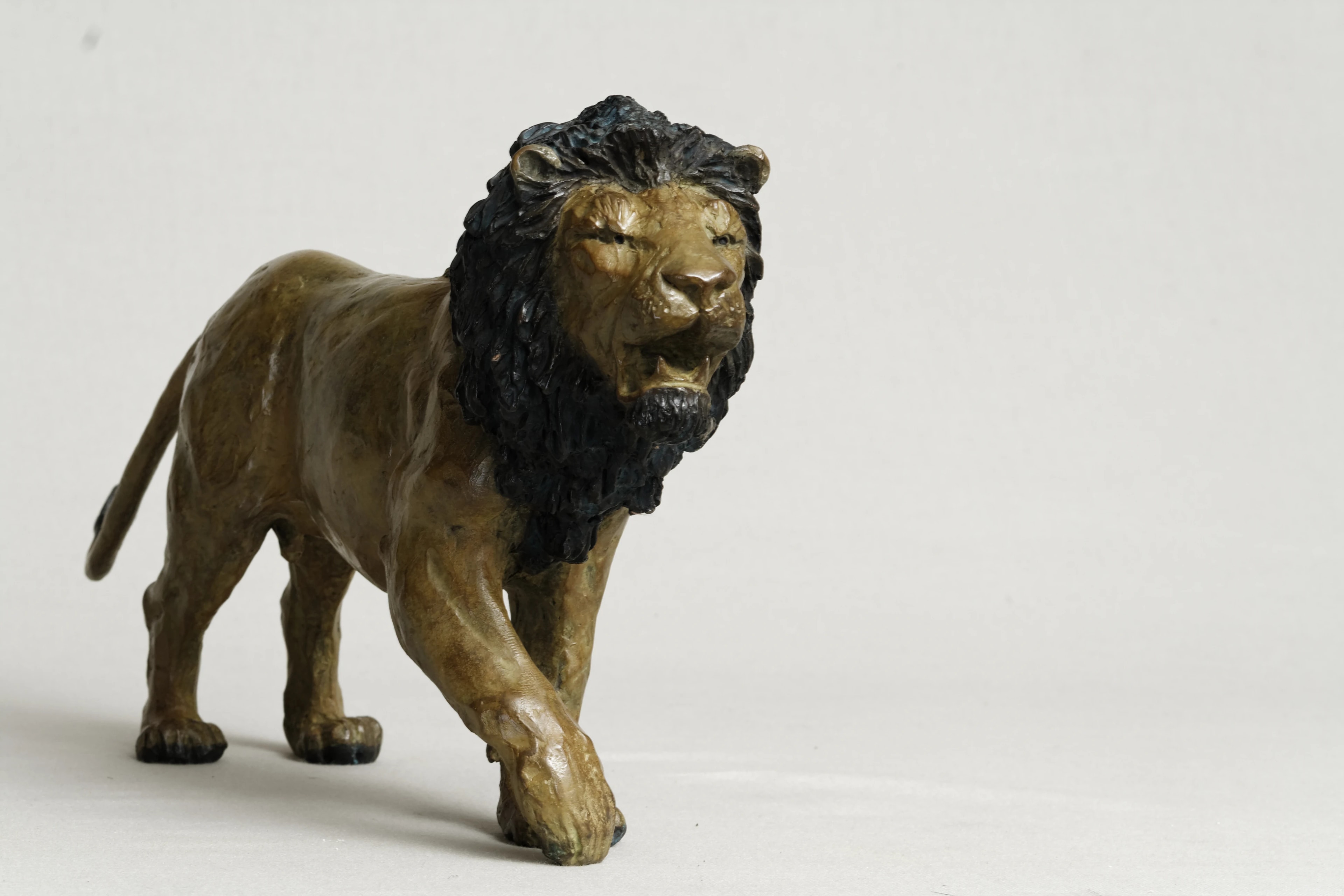 Lion agressif — vue 7
