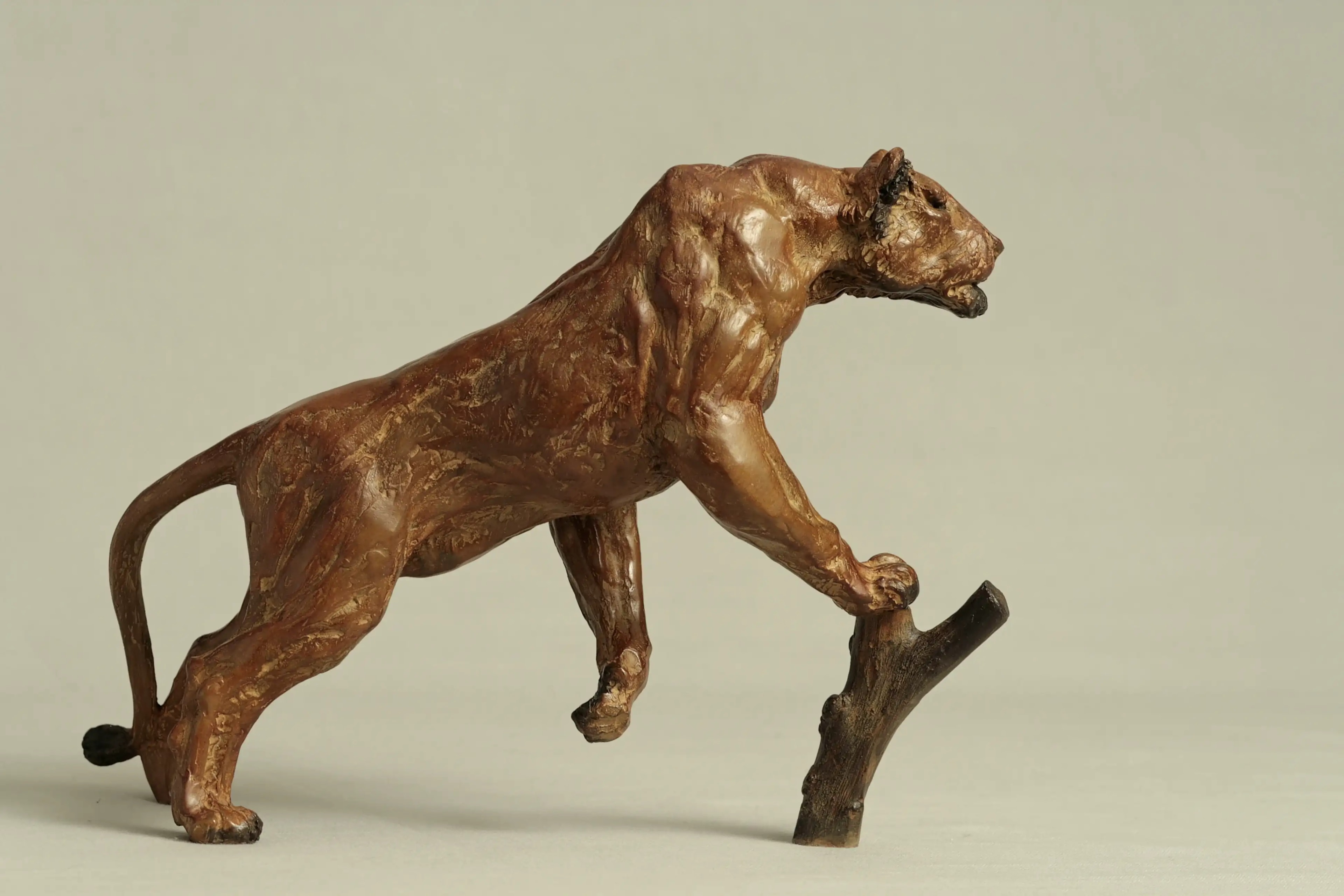 Lionne affamée — vue 2
