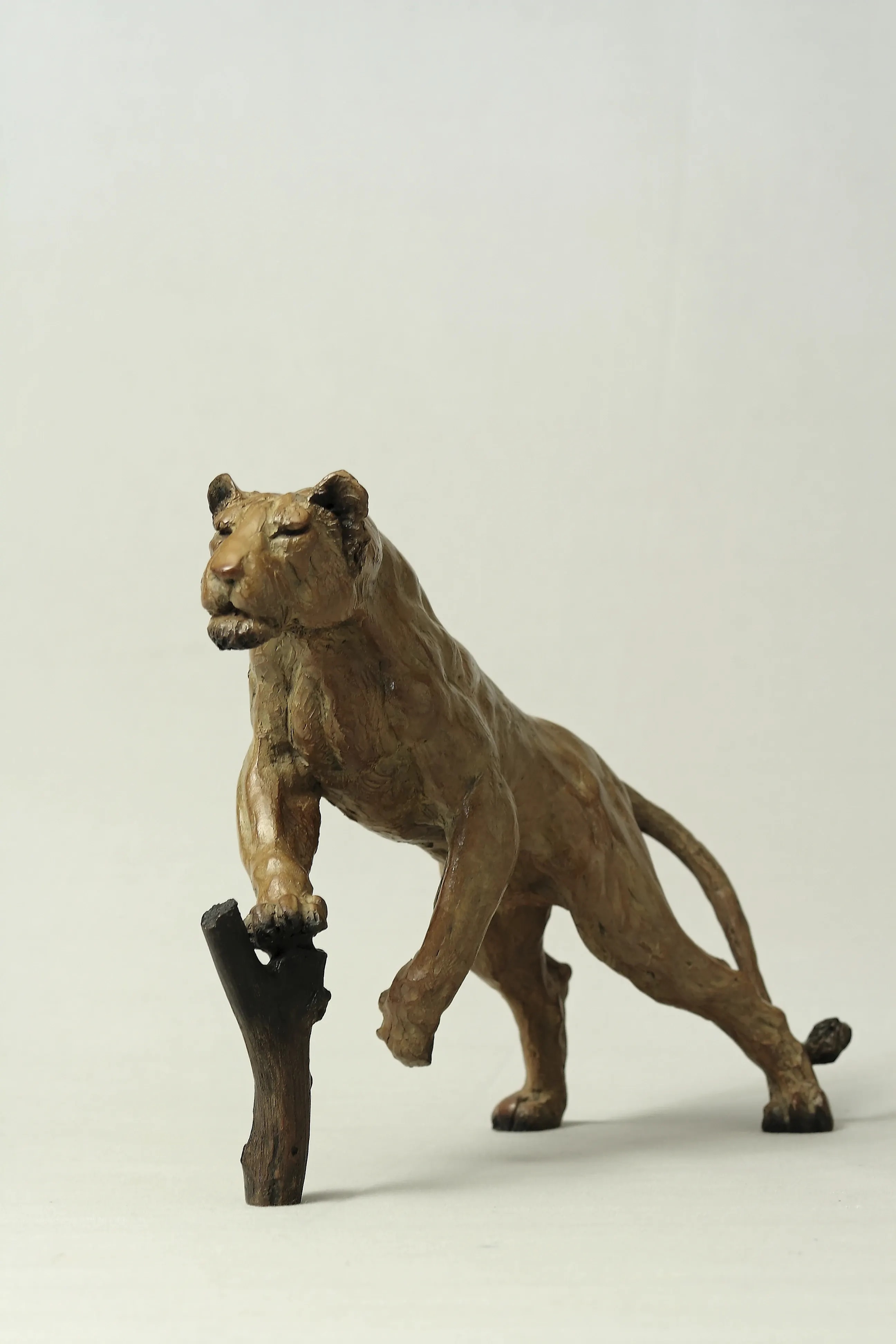 Lionne affamée — vue 5