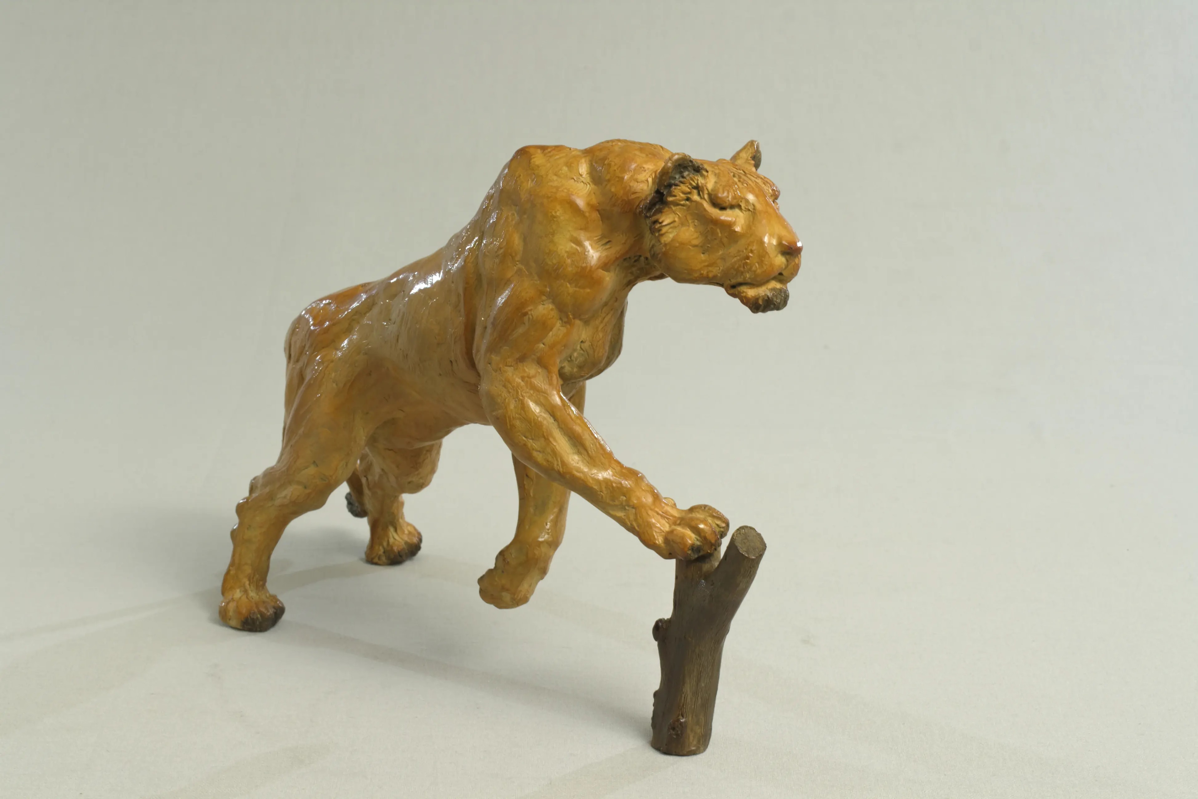 Lionne affamée — vue 6
