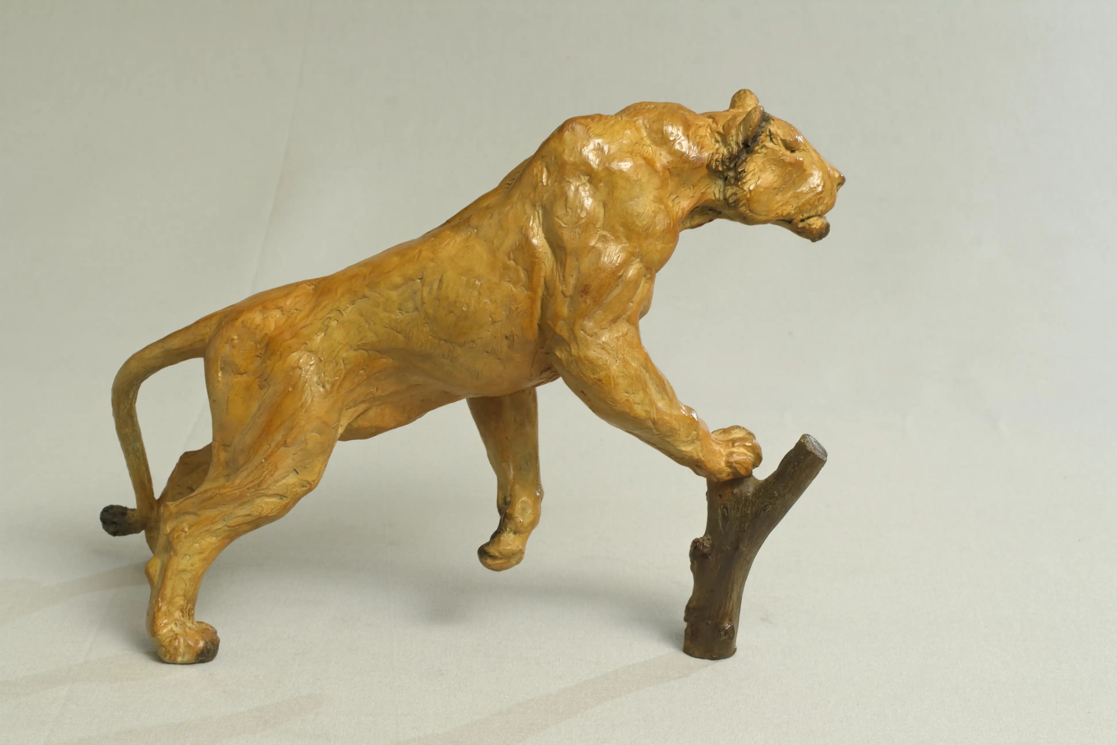 Lionne affamée — vue 7