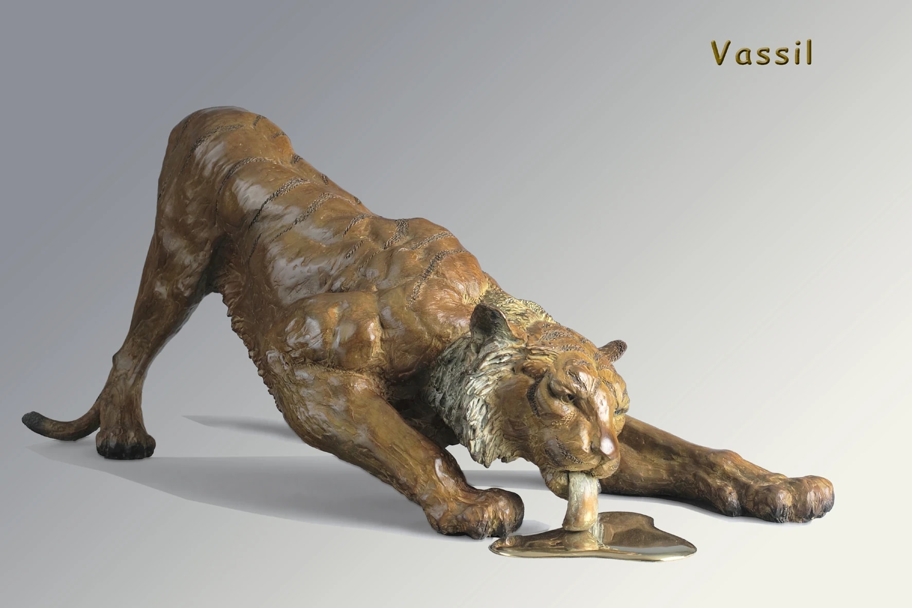Soif de tigre — vue 10