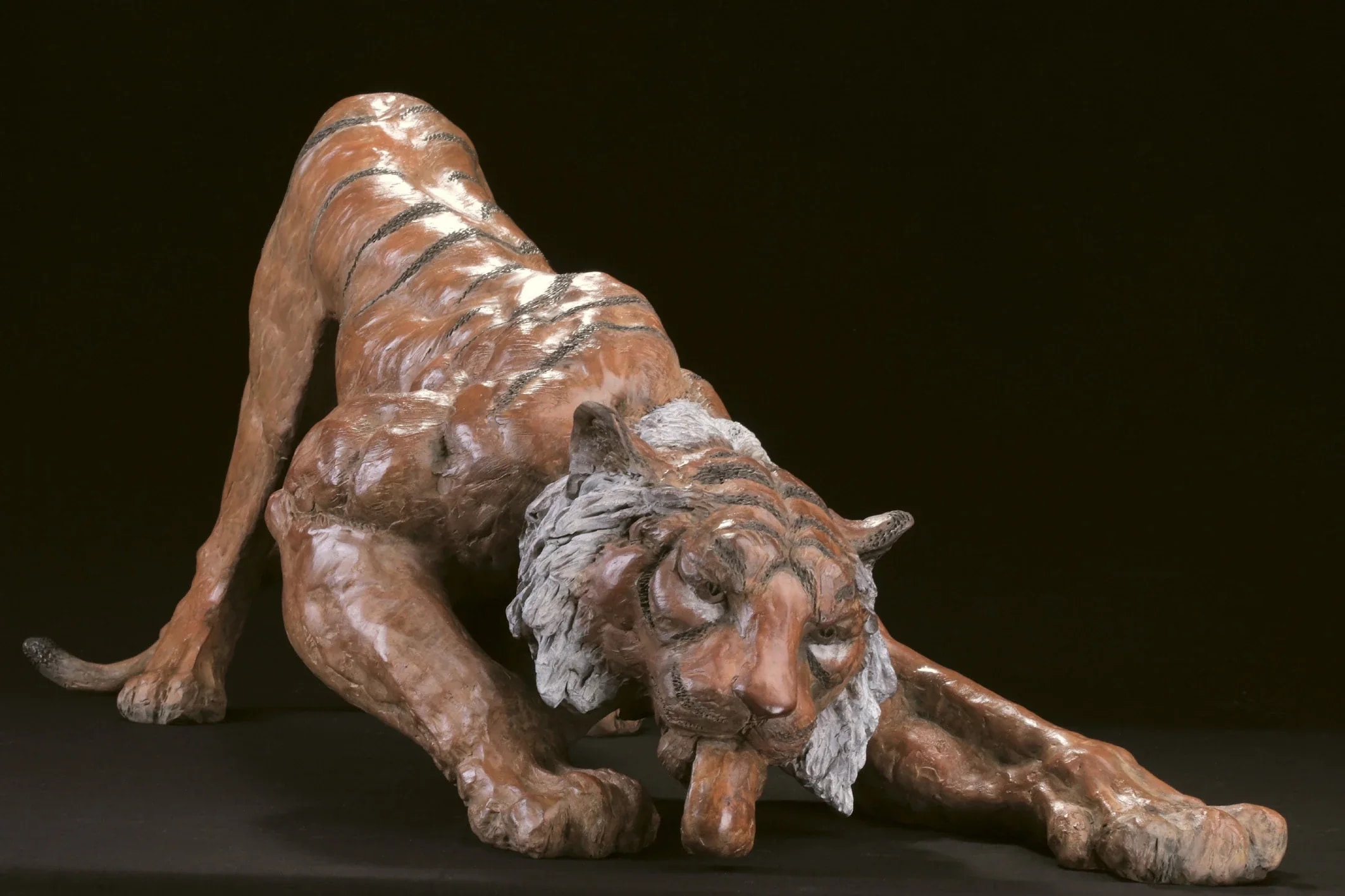 Soif de tigre — vue 5