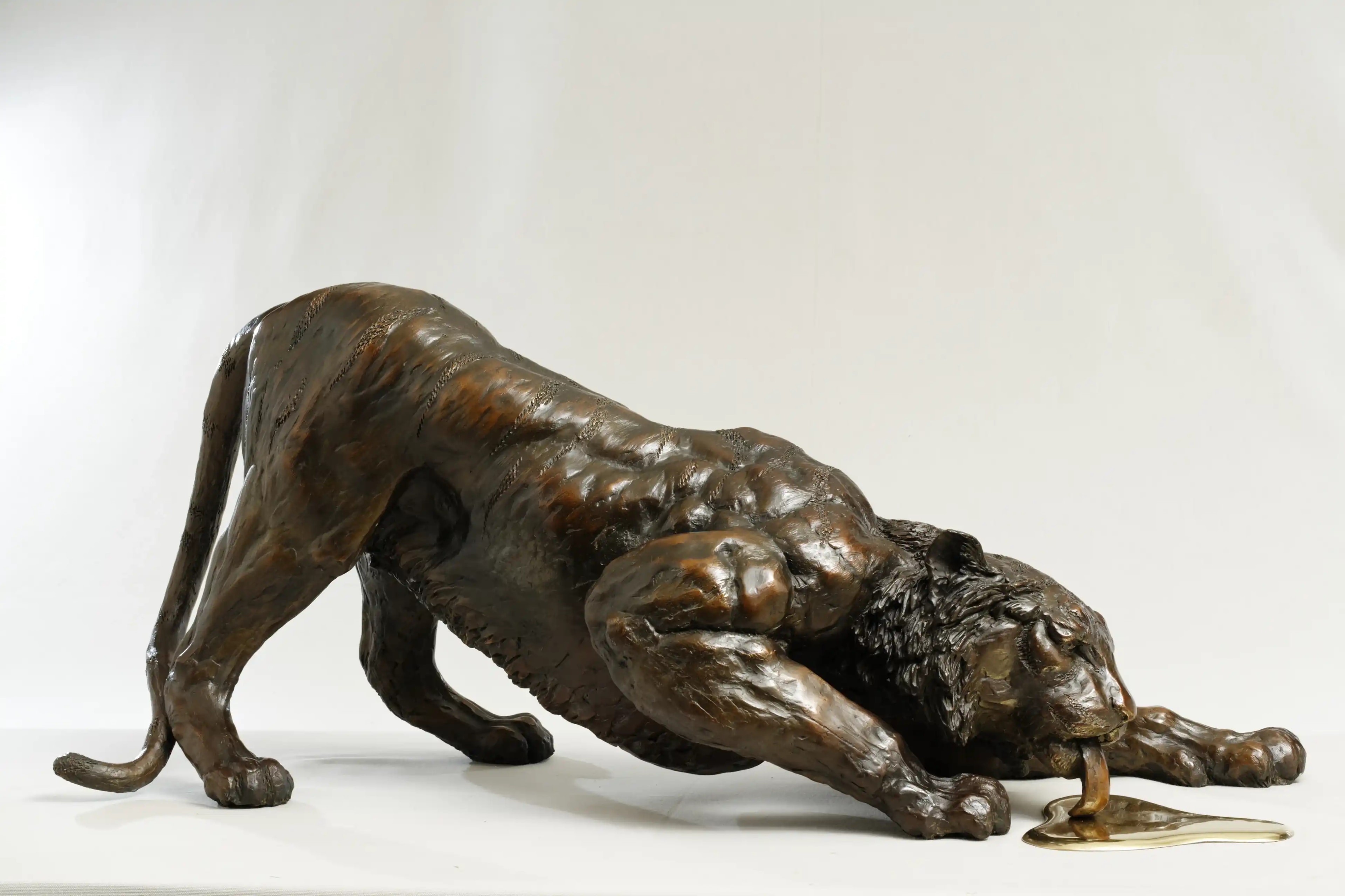 Soif de tigre — vue 7
