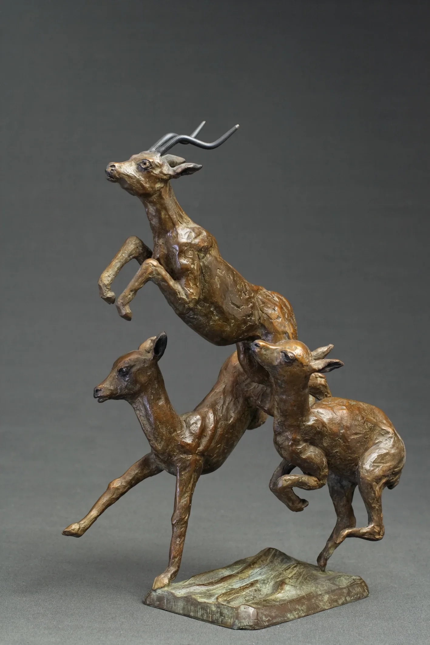 Trois impalas — vue 1