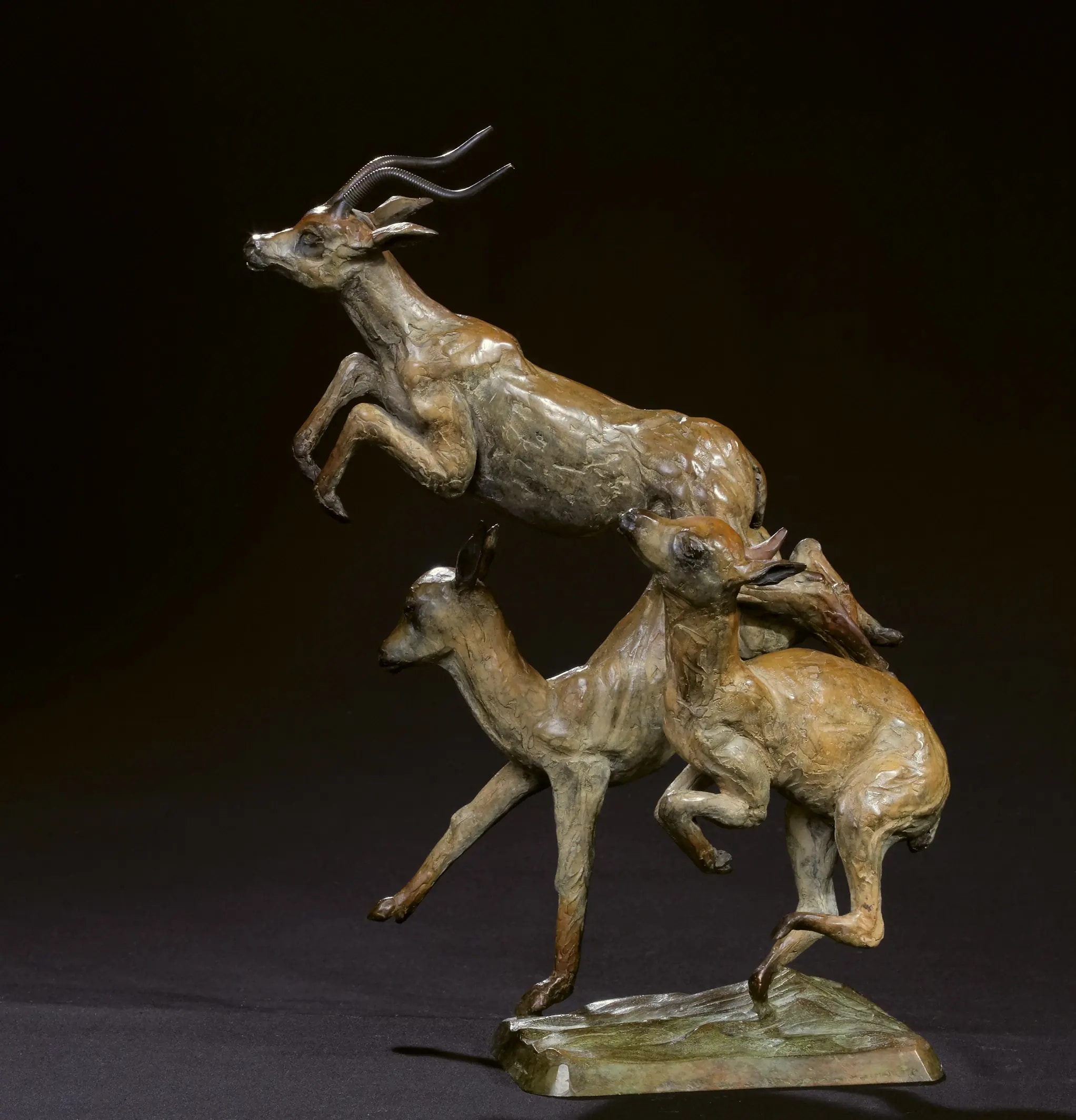 Trois impalas — vue 2