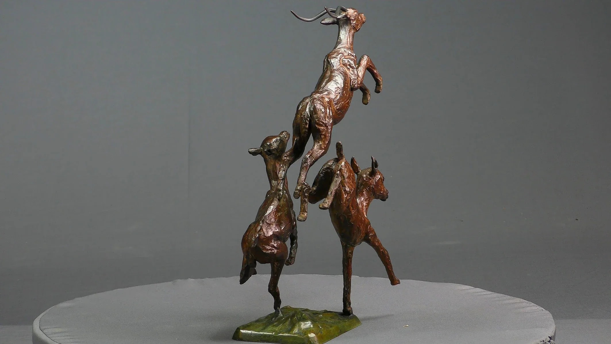 Trois impalas — vue 4