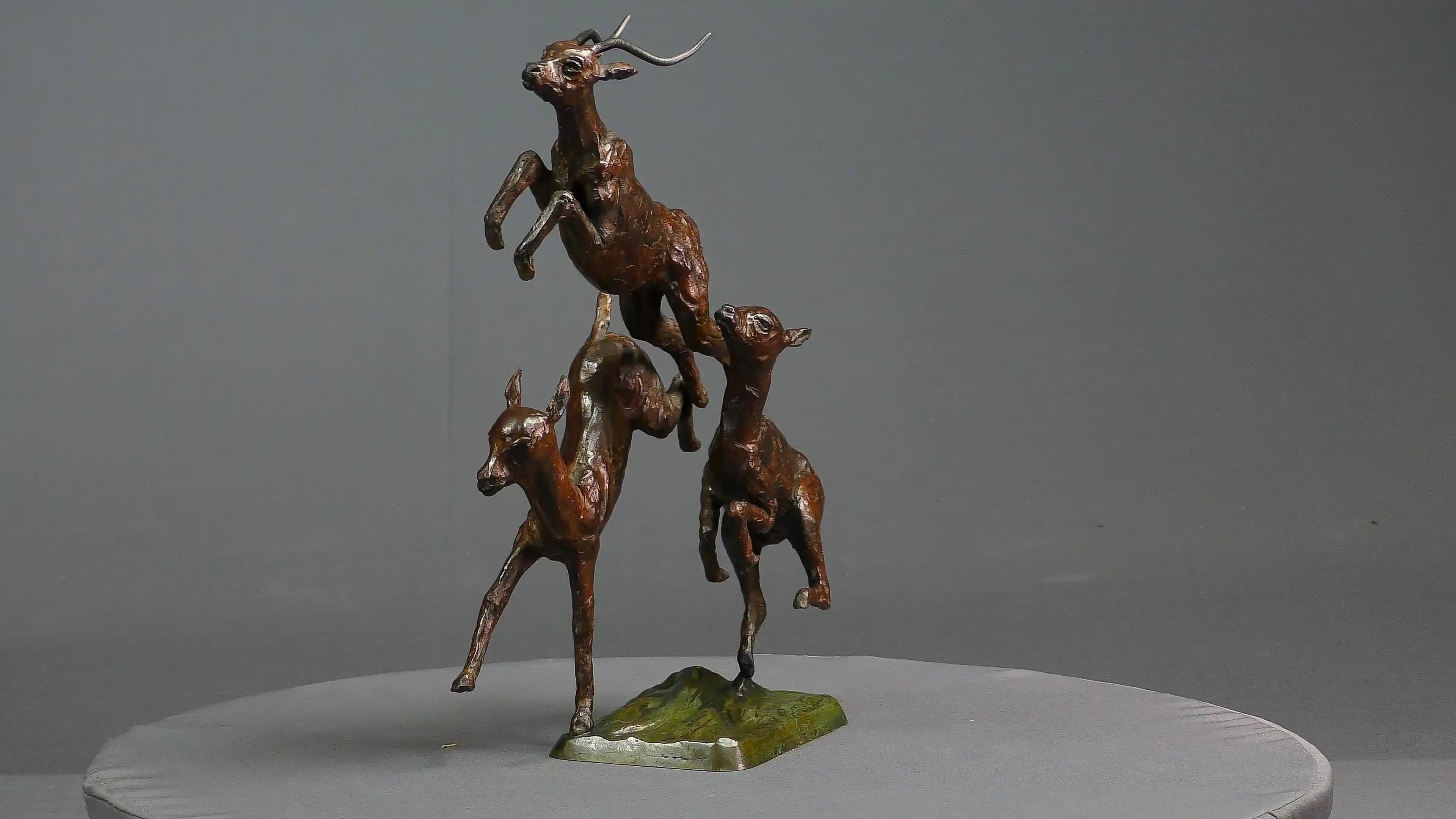 Trois impalas — vue 6