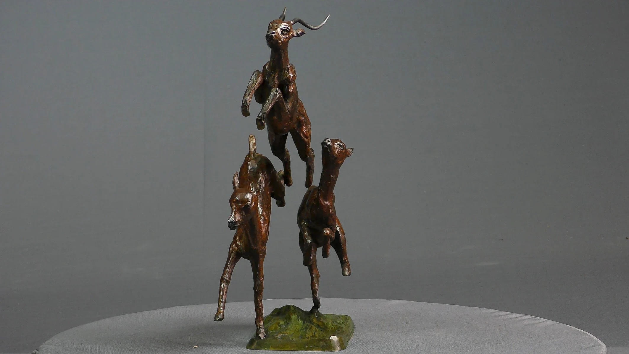 Trois impalas — vue 7