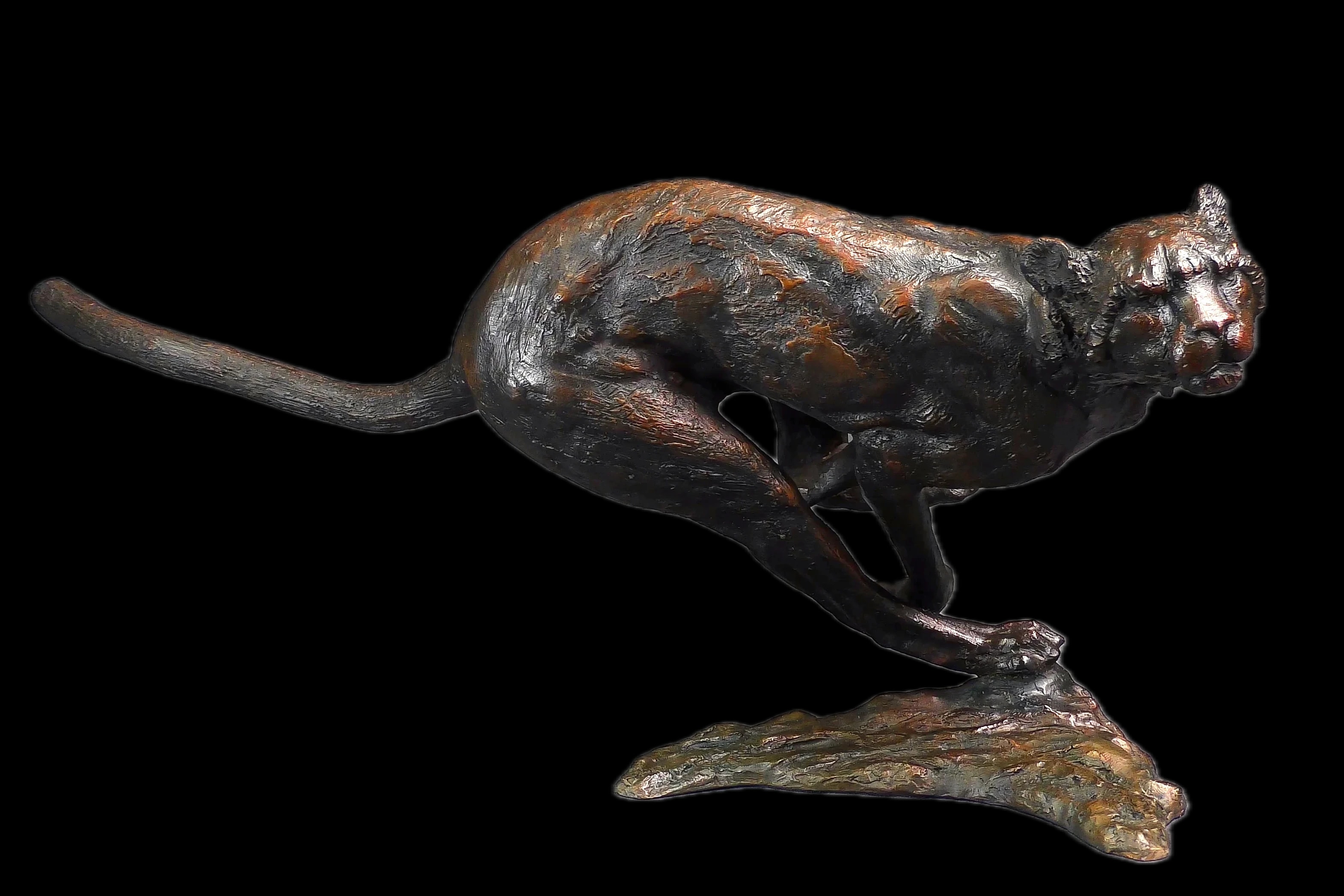 Agression de guépard