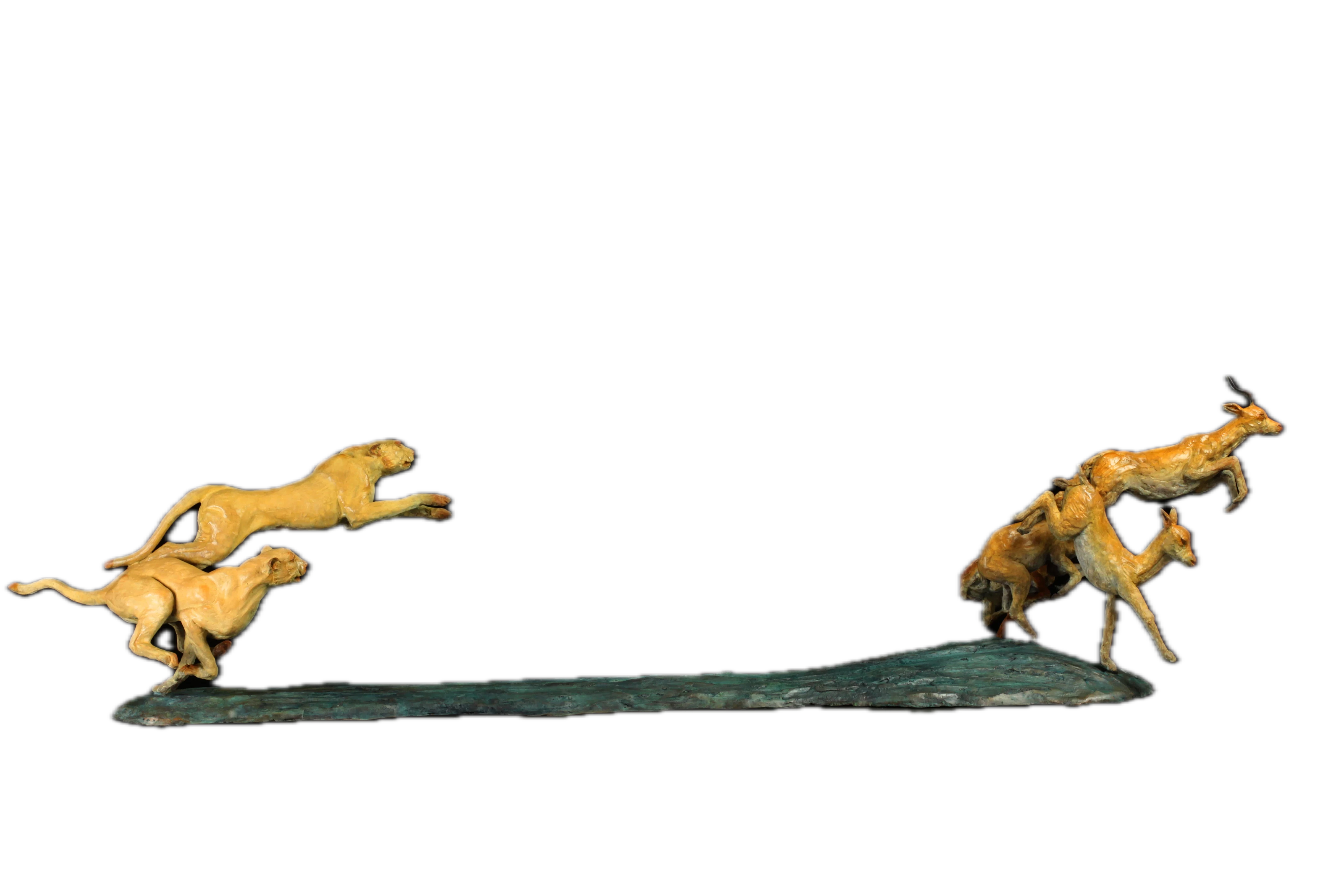 Chasse aux impalas